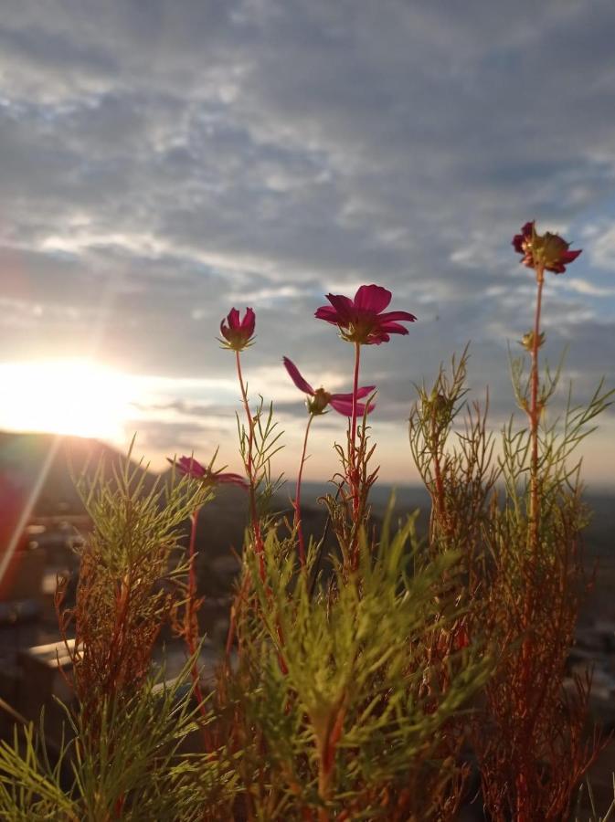 Merdin Boutique Hotel Mardin Buitenkant foto